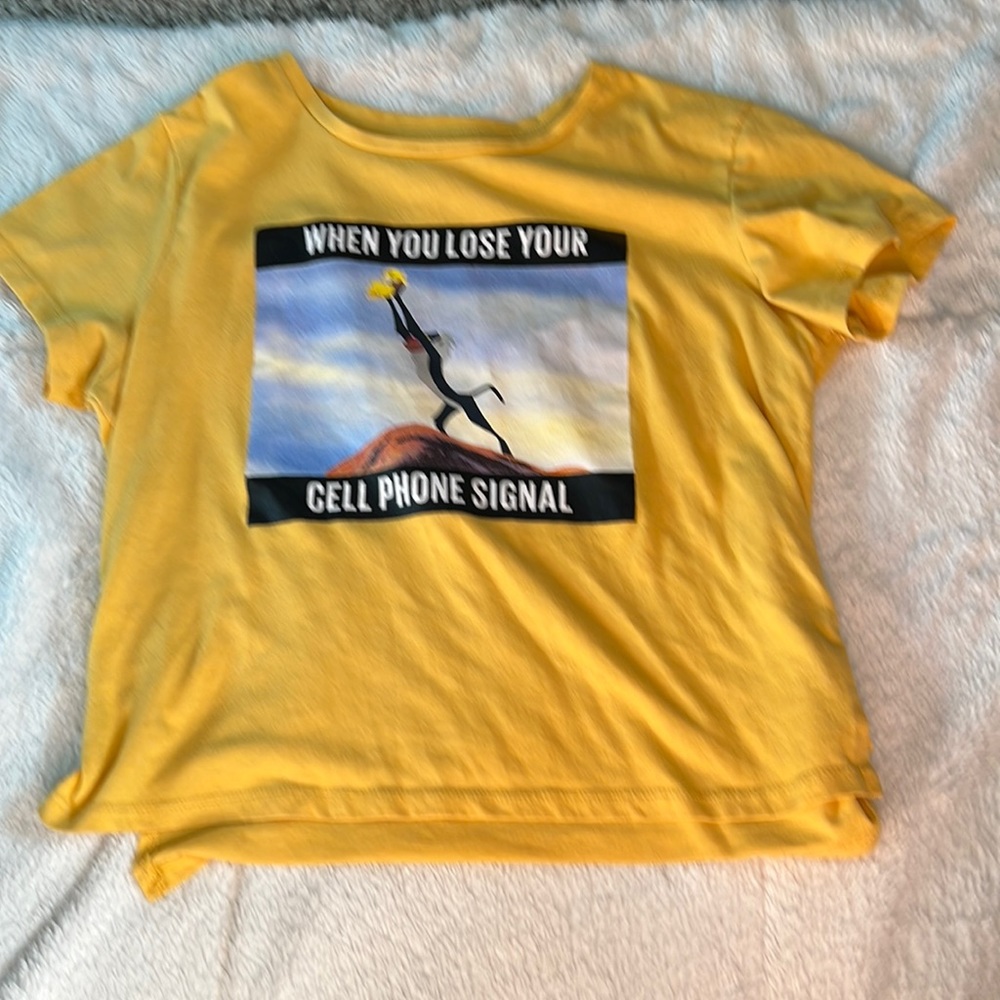 Meme crop top